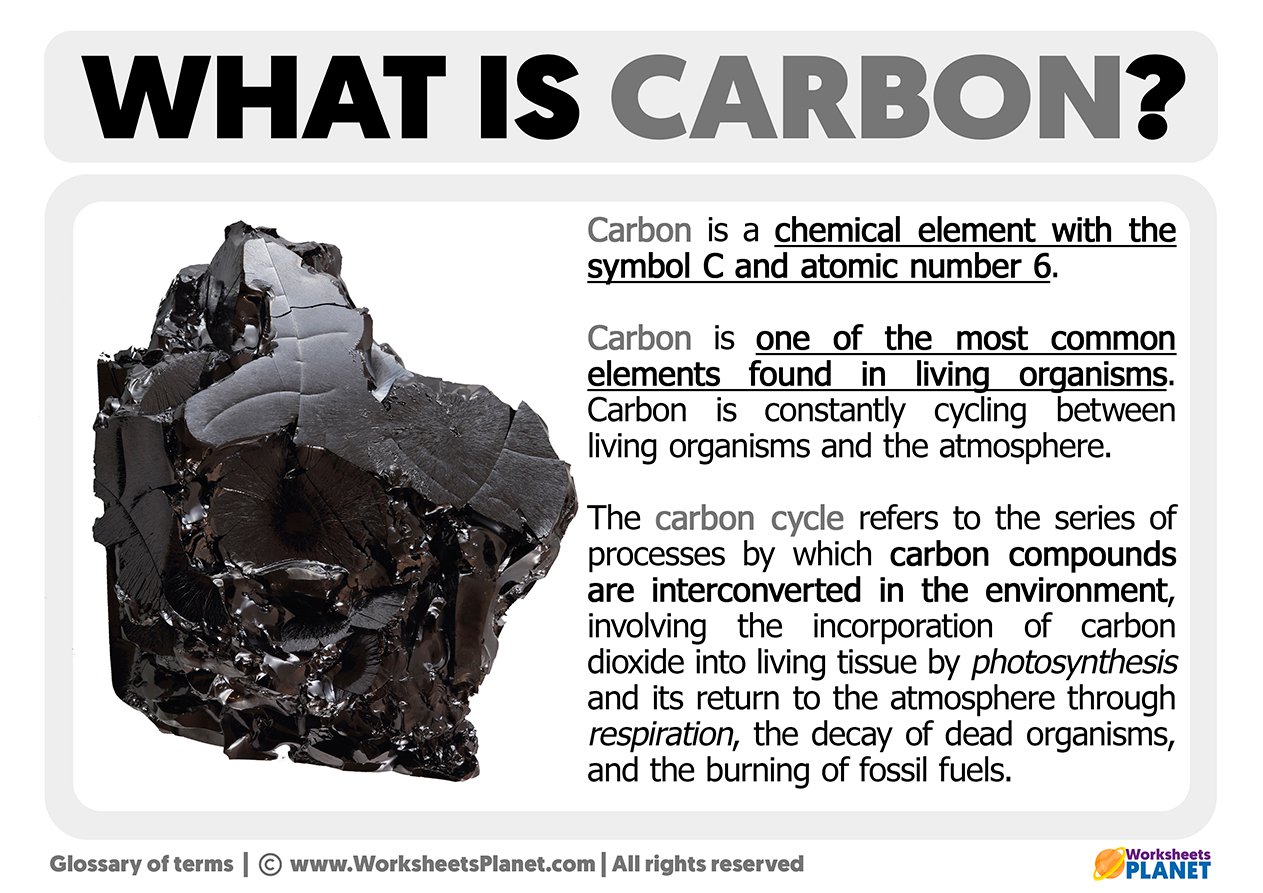 Masa Depan Berkelanjutan: Mengupas Tuntas Teknologi Penangkapan Karbon (Carbon Capture Technology)