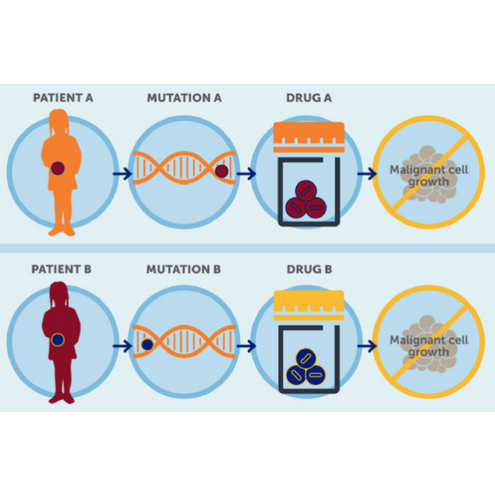 Revolusi Personalized Medicine: Teknologi yang Mengubah Cara Kita Mengobati Penyakit